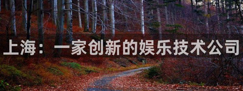 赢咖4登录网址