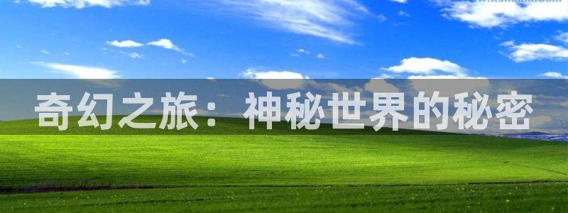 赢咖官网入口地址