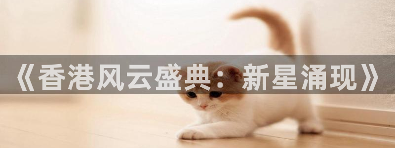 赢咖2平台