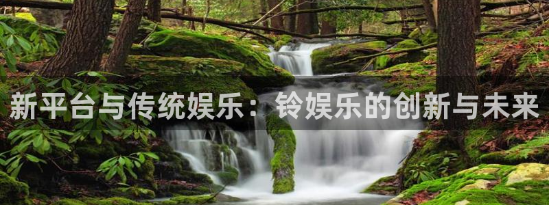 赢咖世纪娱乐